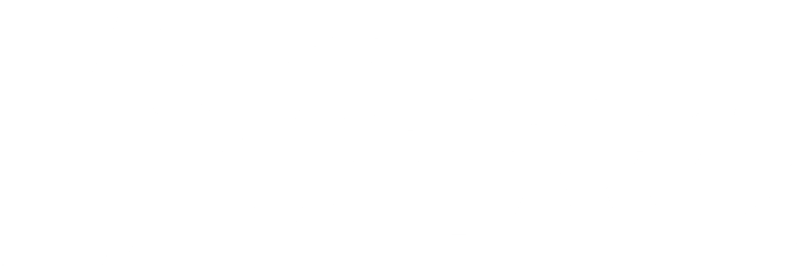 LM Pro